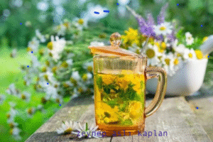 hamilelikte bitki çayları